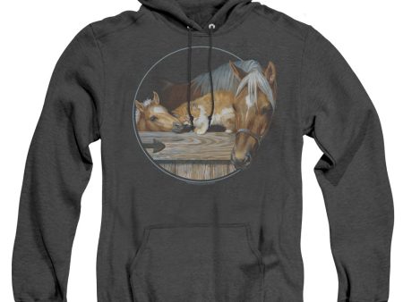 WILD WINGS : EVERYONE LOVES KITTY ADULT HEATHER HOODIE BLACK SM Online now