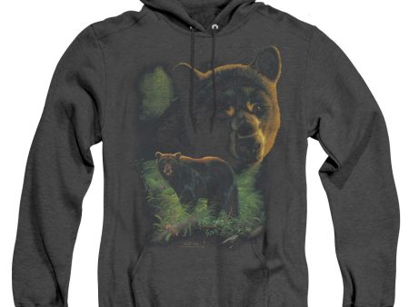 WILDLIFE : BLACK BEARS ADULT HEATHER HOODIE BLACK MD Cheap