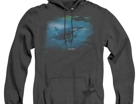 WILDLIFE : PURSUIT THRU THE KELP ORCA ADULT HEATHER HOODIE BLACK XL Hot on Sale