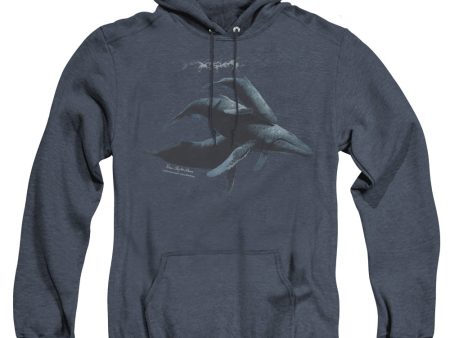 WILDLIFE : POWER AND GRACE ADULT HEATHER HOODIE NAVY LG Online now