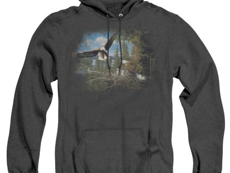 WILDLIFE : SPRING BALD EAGLES ADULT HEATHER HOODIE BLACK LG For Cheap