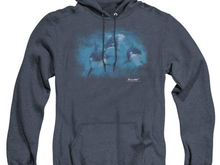 WILDLIFE : POD OF ORCAS ADULT HEATHER HOODIE NAVY LG For Sale