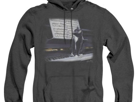 WILDLIFE : KITTEN ON THE KEYS ADULT HEATHER HOODIE BLACK 3X Discount