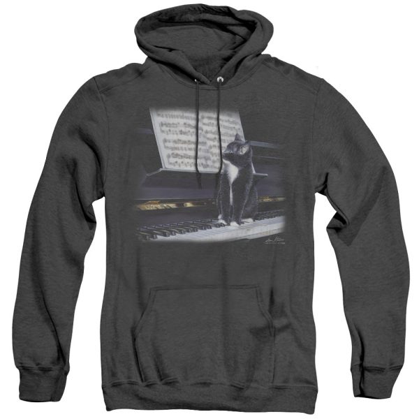 WILDLIFE : KITTEN ON THE KEYS ADULT HEATHER HOODIE BLACK 3X Discount